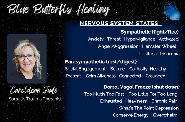 Nervous System States: Sympathetic, Parasympathetic, Dorsal Vagal Freeze